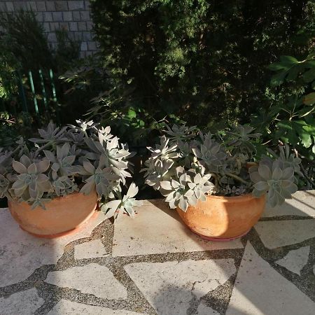 Apartment Quiet Bay Neum Exterior foto